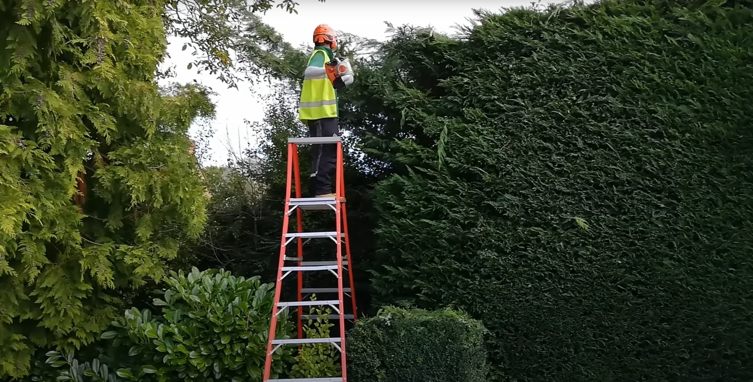 Shrub & Hedge Trimming service in East Orange, NJ