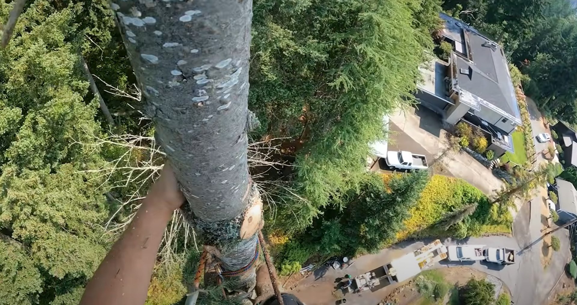 Crane-Assisted Tree Removal - Professional aerial tree service for complex residential tree removal projects Aerial view of professional tree removal operation showing crane and equipment around residential property